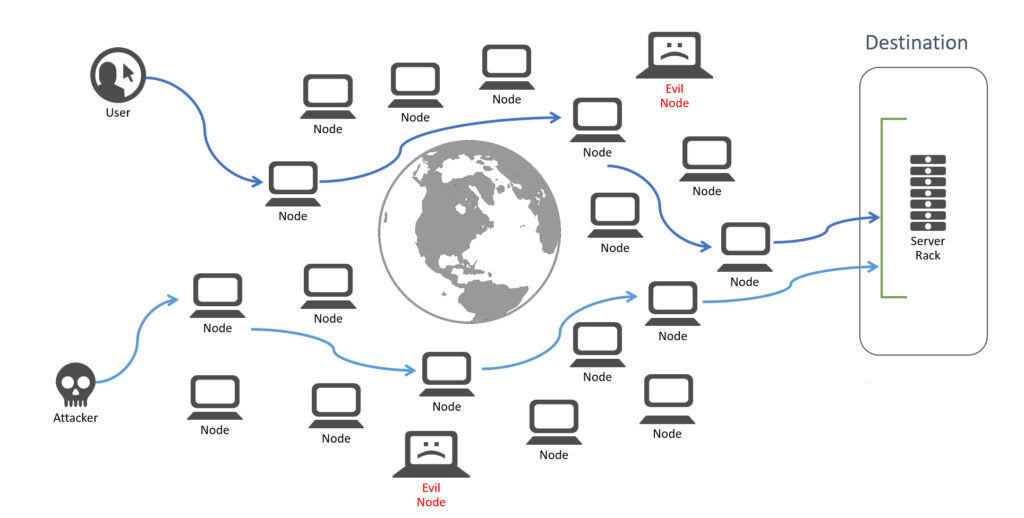 The onion router network